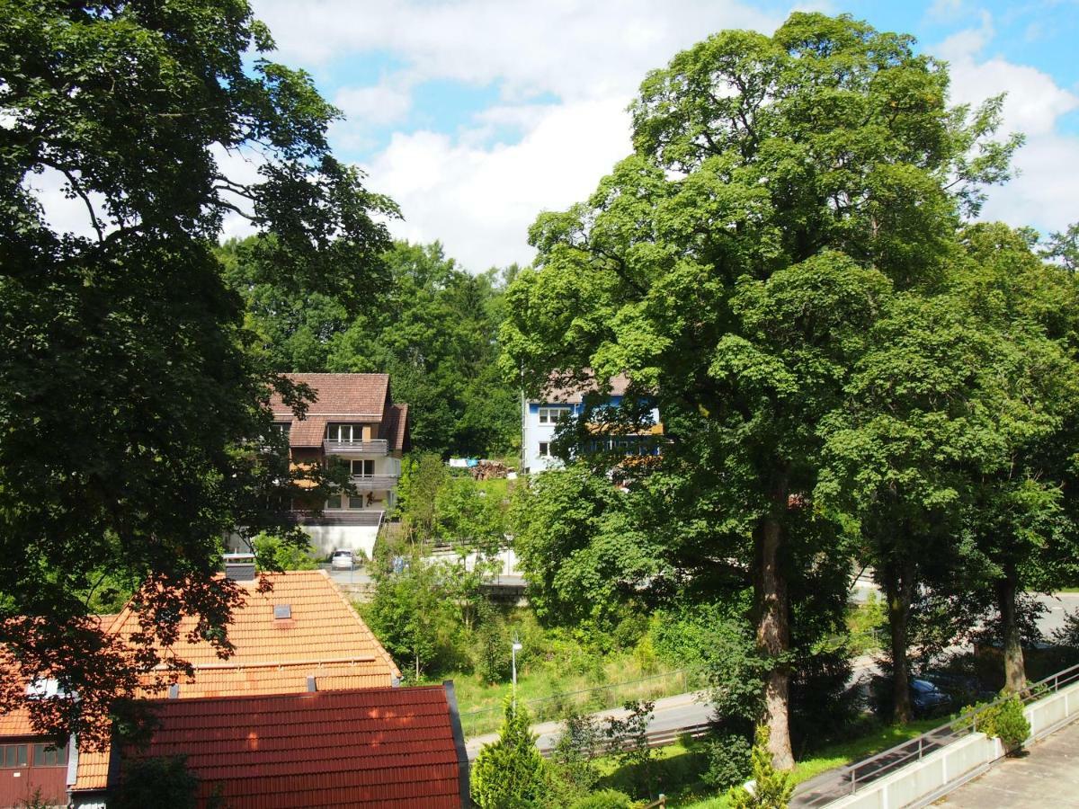 Apartment Harzgruen Sankt Andreasberg Eksteriør bilde
